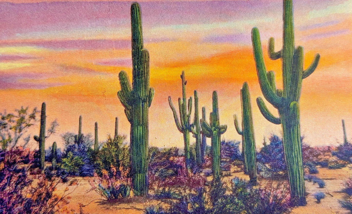 Desert Giants