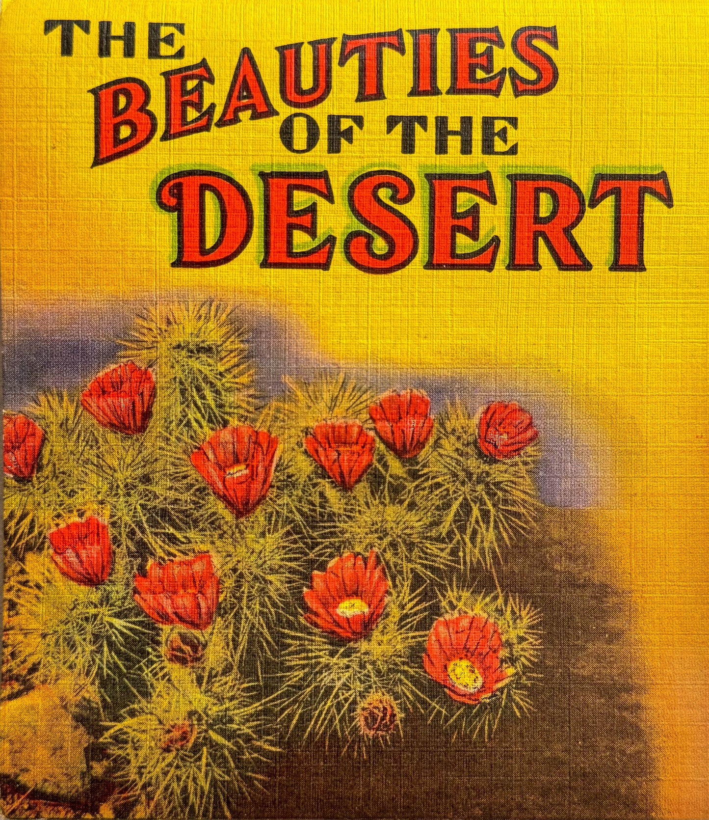 Desert Beauties
