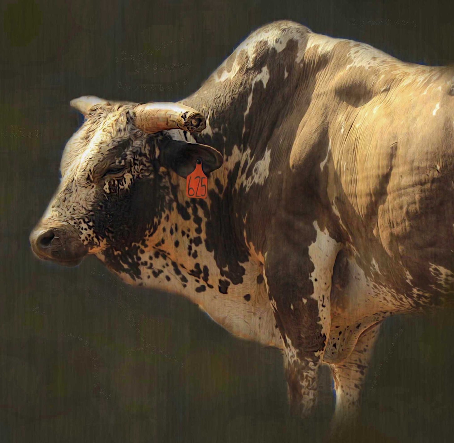 Rodeo King Decoupage Paper