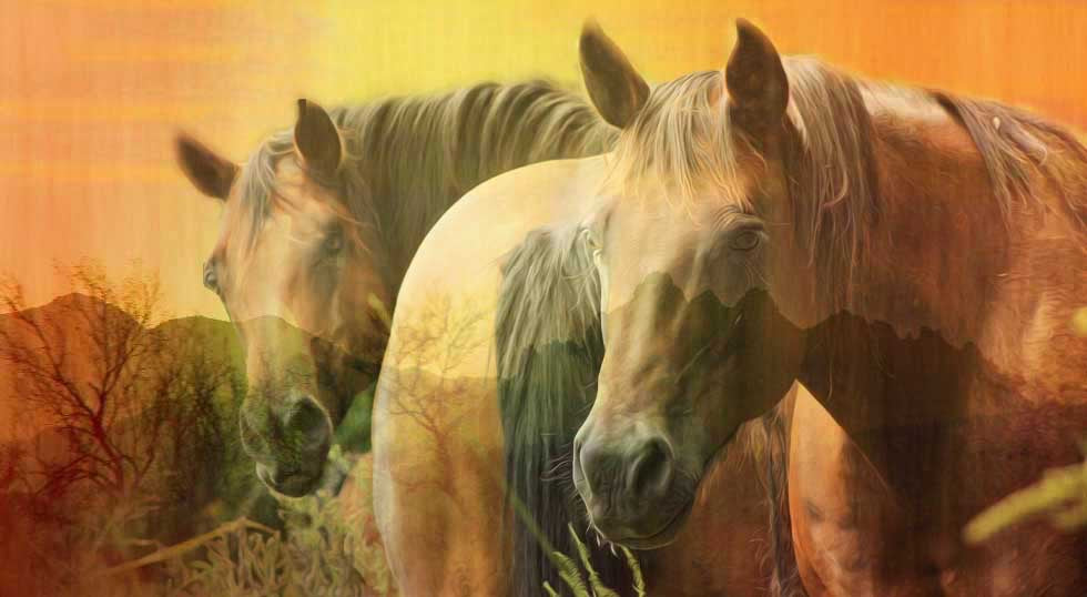 Trail Ride Decoupage Paper
