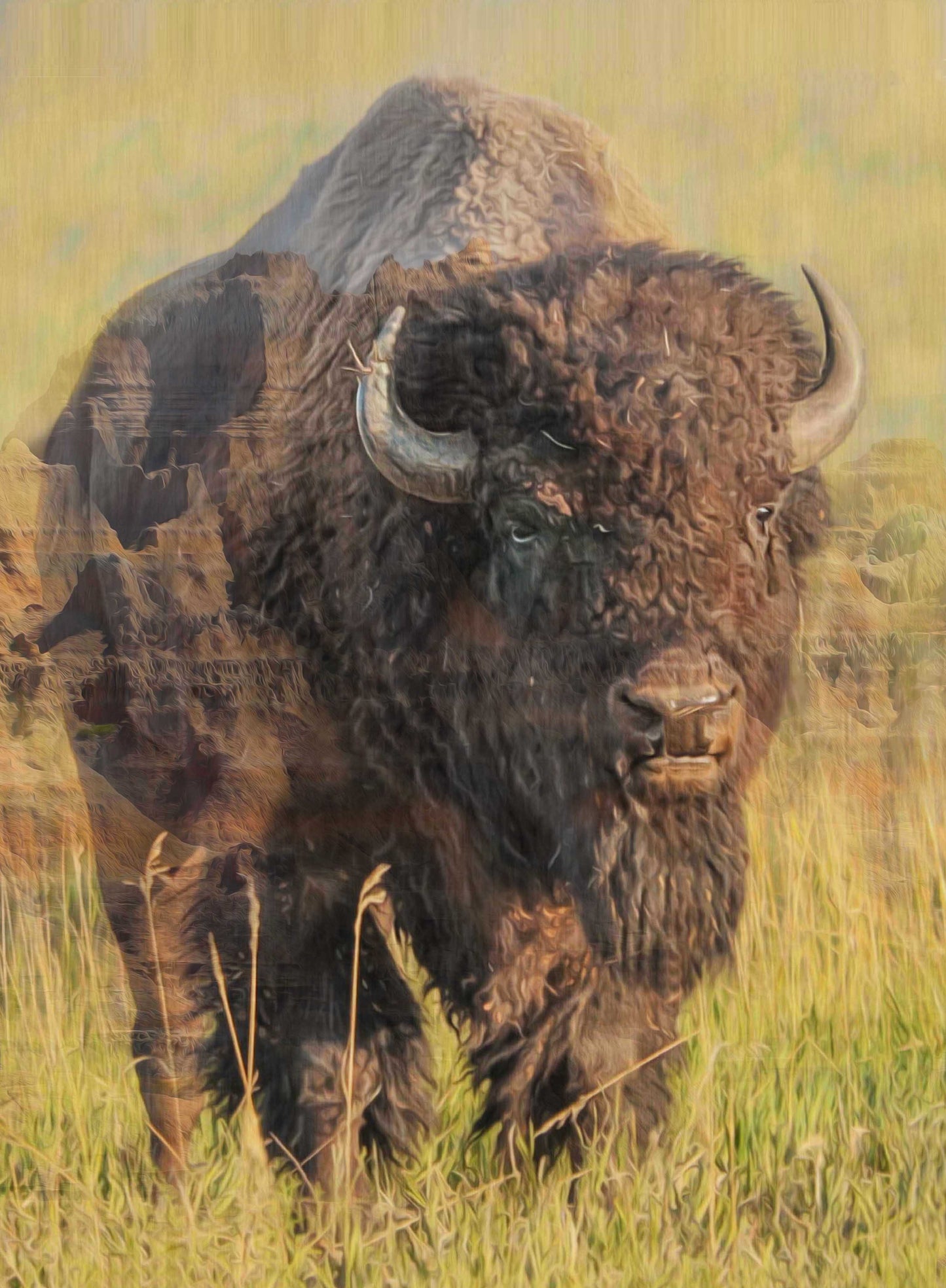 Master Of The Badlands