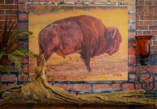 Ole Chief Fine Art Landscape
