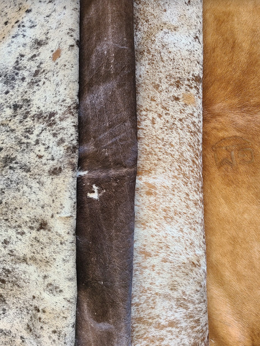Long Horn Cowhide