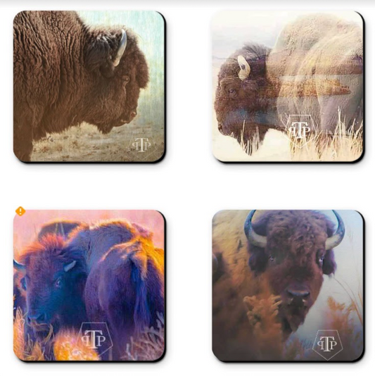 Buffalo Coasters