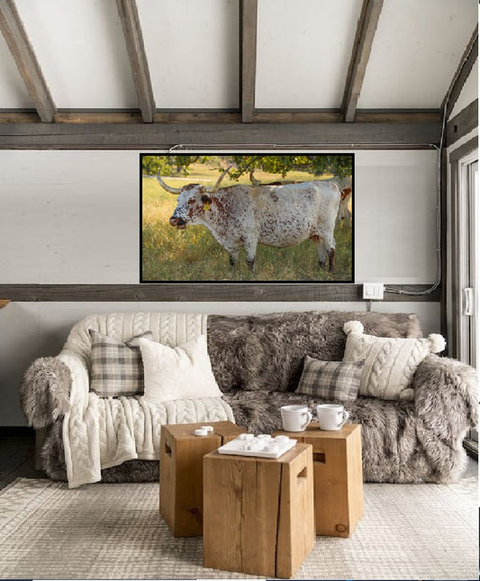 Oklahoma Longhorn