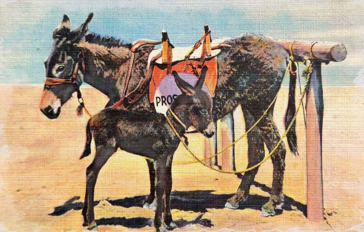 Prospector