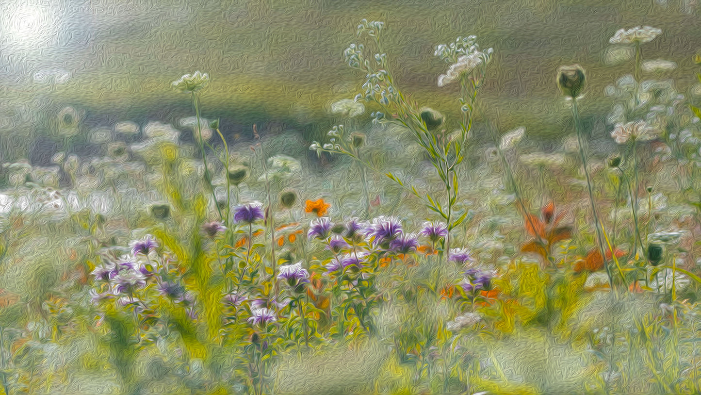 Spring Prairie