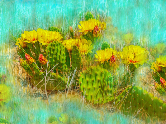 Yellow Ladies