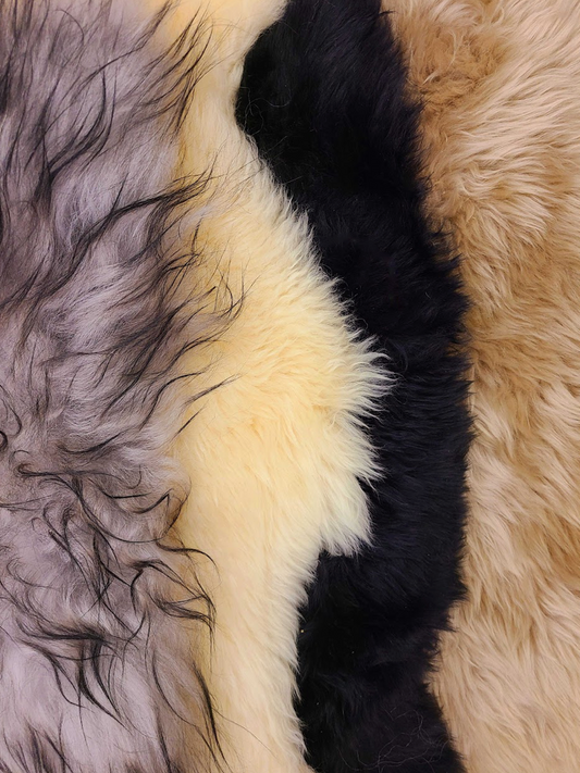 Sheepskin Hides Creme