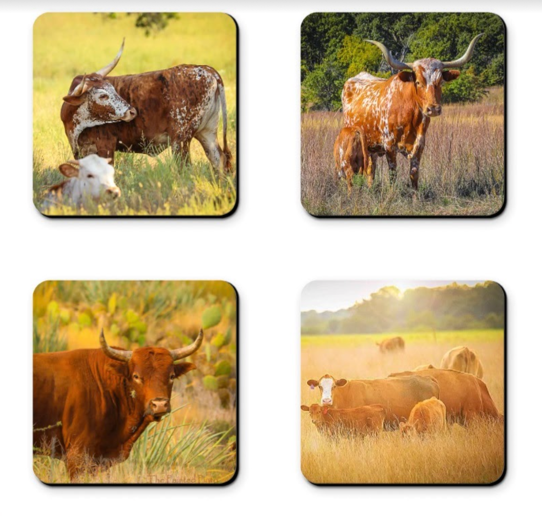 Cattle Coasters